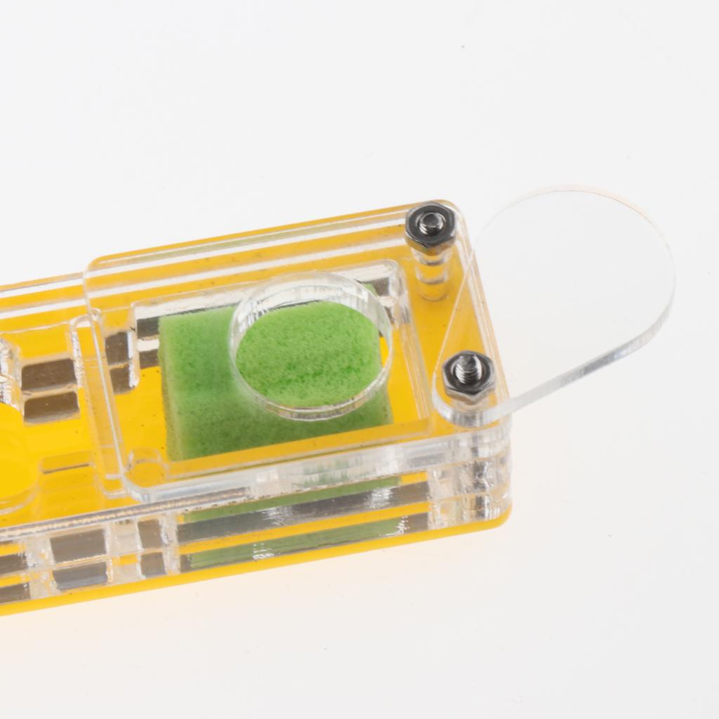 Ant Housing Box Experiment Toy Farm Insect Terrarium Pet Toys Fun Gift Clear