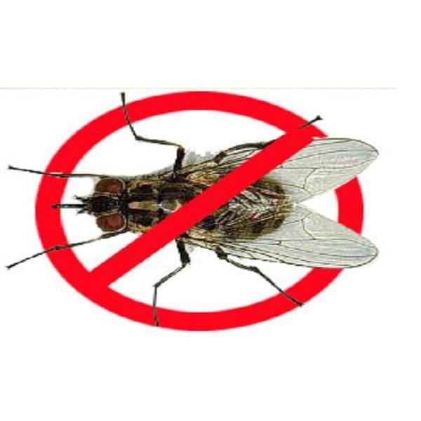 1 gói thuốc diệt ruồi TOPFLY 10WG THU HÚT MẠNH – DIỆT RUỒI NHANH