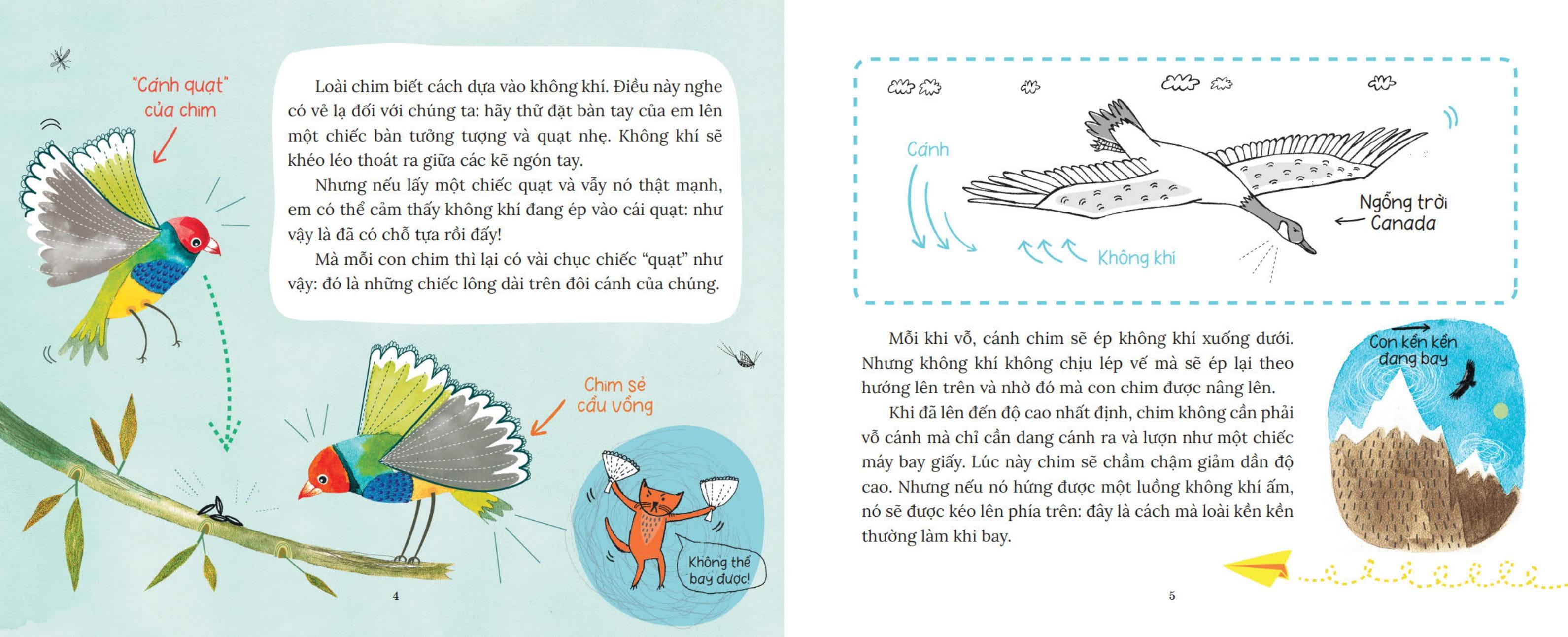 Sách - Khoa Học Bỏ Túi - Tại Sao Chim Bay Không Rơi?