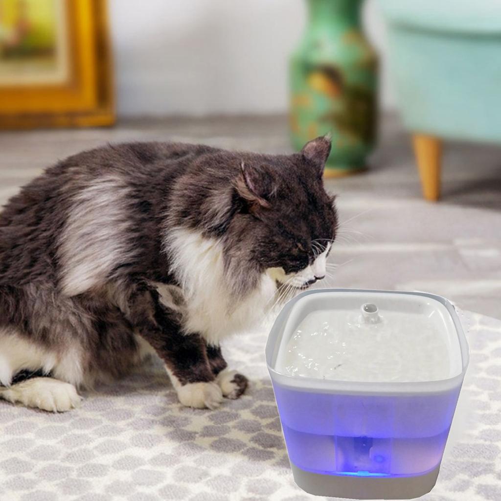 Pet Water Fountain Electric Water Dispenser for Cat Dog Automatic Waterer USB