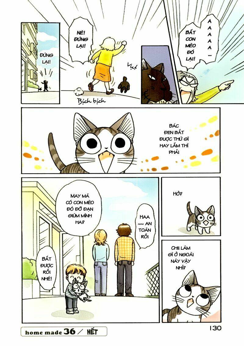 chi's sweet home chapter 36 8