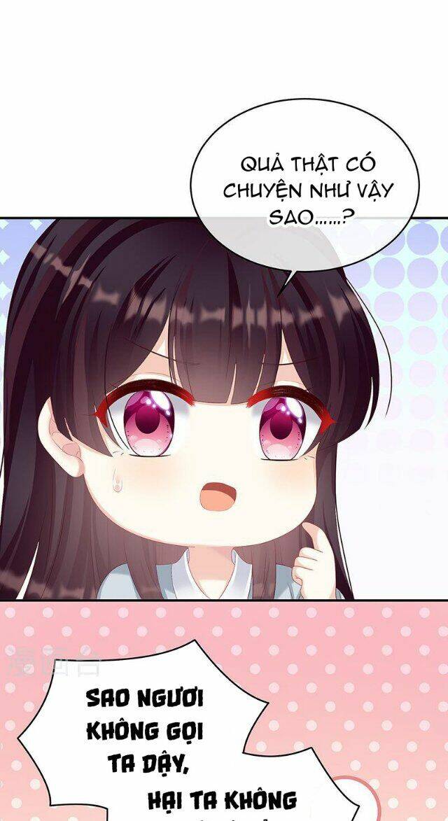 kiều phu có hỉ chapter 68 5