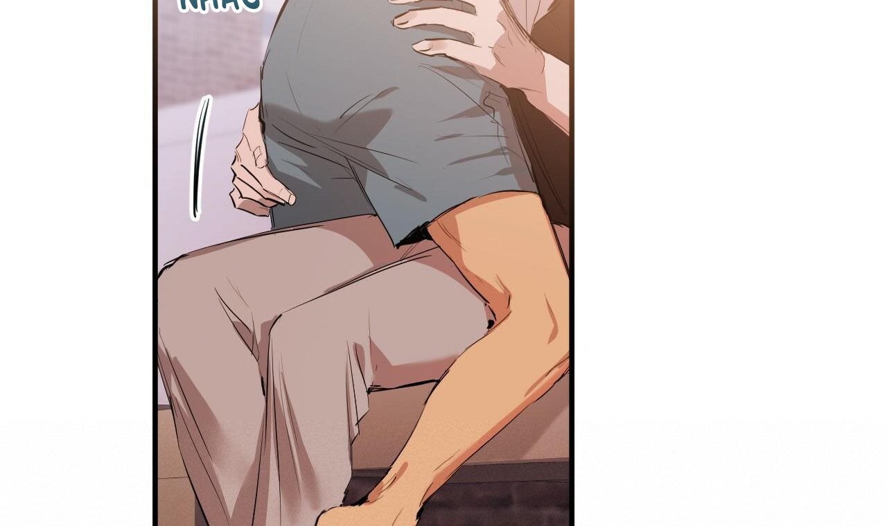 những chú thỏ của hapypy chapter 51 63