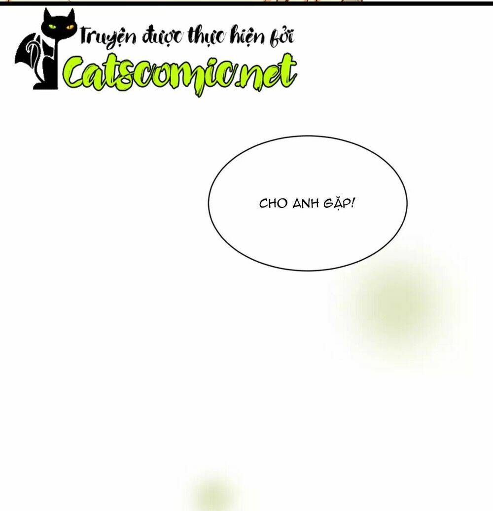 điều giáo quan hệ chapter 15 23