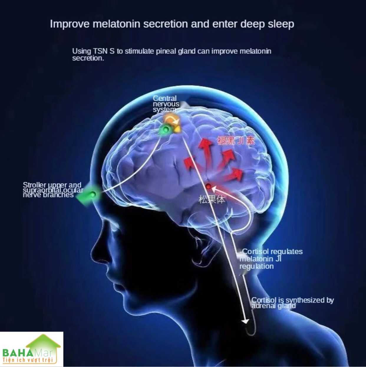 ĐAI MASSAGE ĐẦU THÔNG MINH GIẢM ĐAU TẠO THƯ GIÃN, CHỐNG MẤT NGỦ "BAHAMAR" Chỉ cần 15 phút mỗi ngày, có thể dễ dàng thưởng thức một giấc ngủ thoải mái và ổn định đồng hồ sinh học.