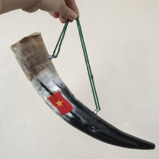Kèn Tù Và sừng bò châu phi - cổ vũ tinh thần đội tuyển Việt Nam  Tiếng kêu rất vang