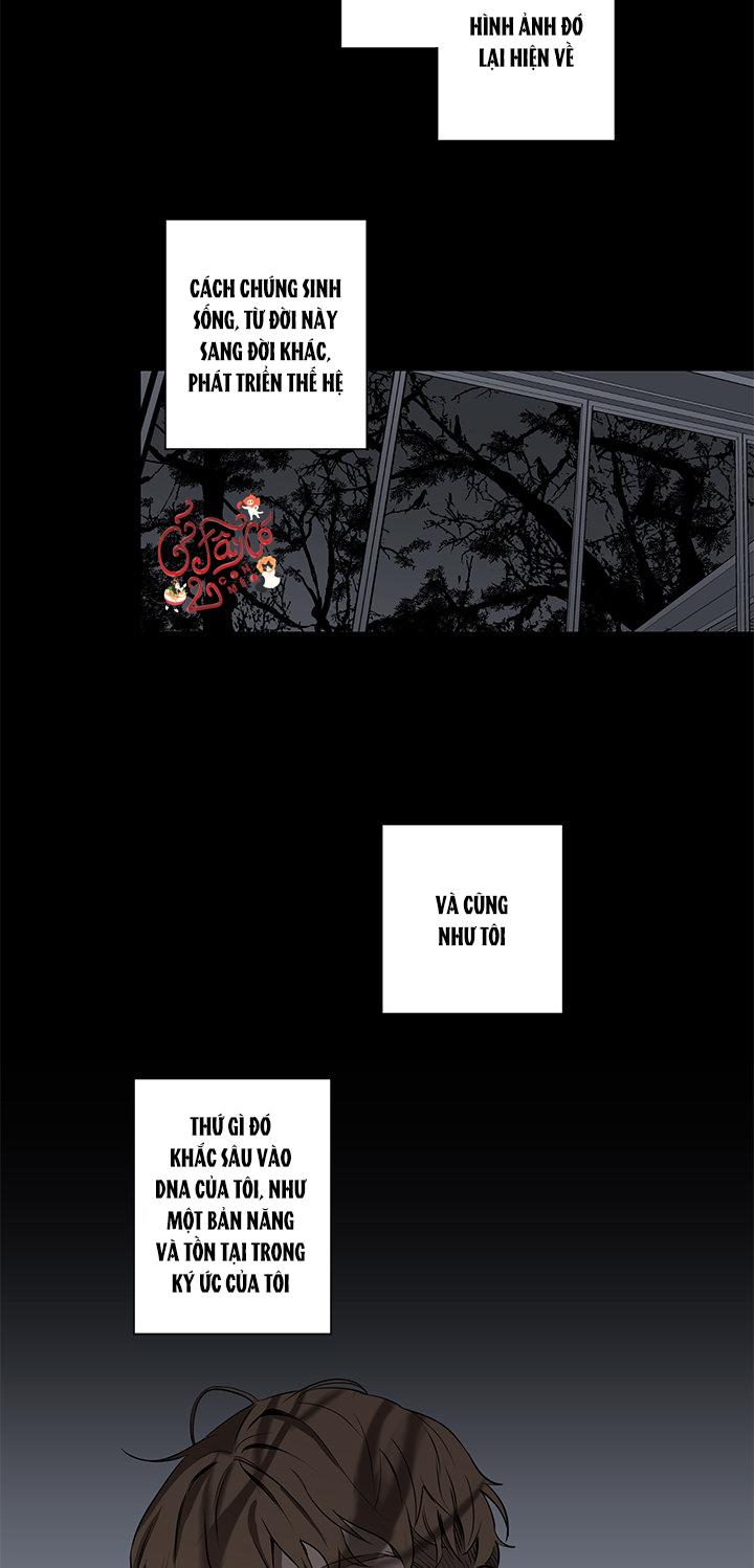 loài chim không bay chapter 5 20