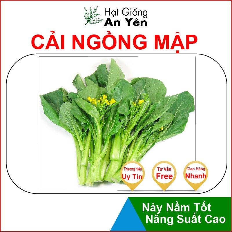 Hạt giống Cải Ngồng Mập, nhanh thu hoạch, dễ trồng, nảy mầm và năng suất cao