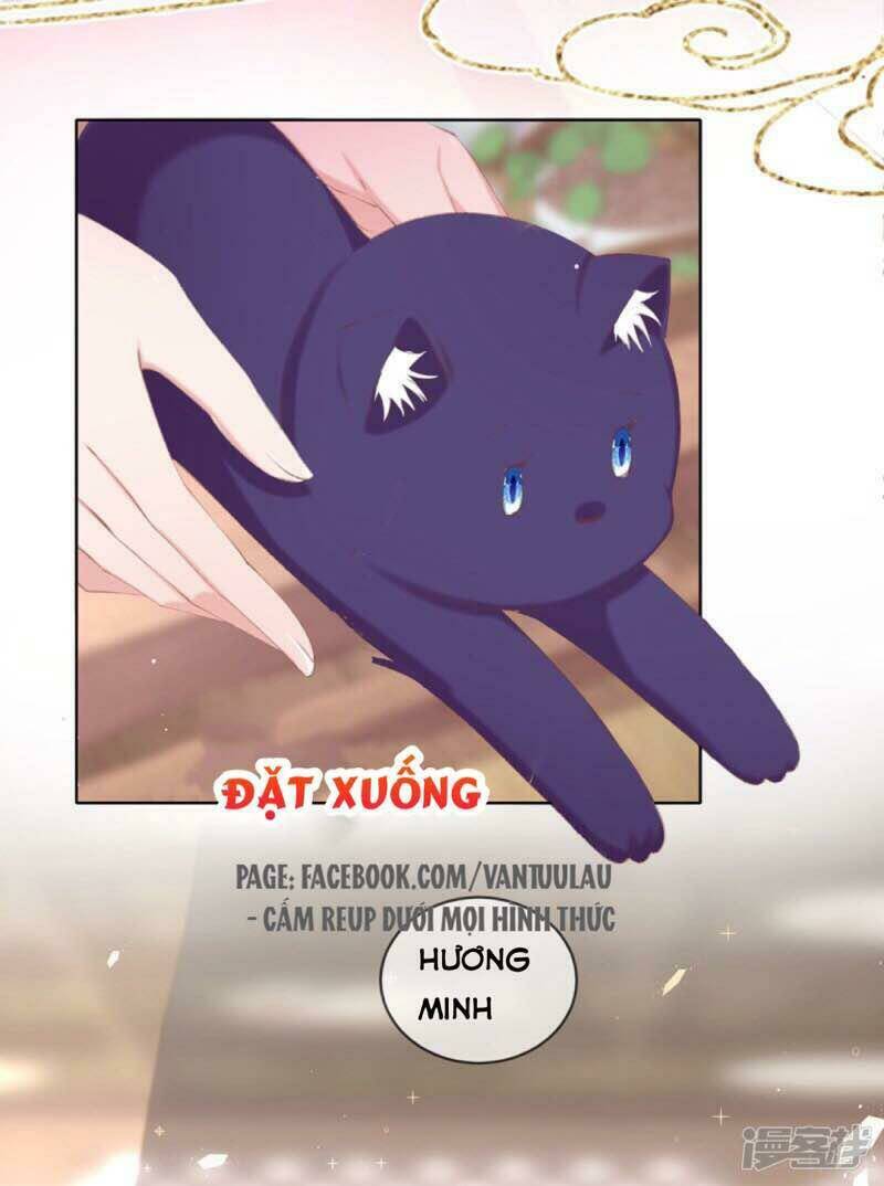 thị huyết y phi chapter 54 22