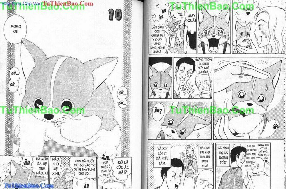 chó con mo mo chapter 3 34