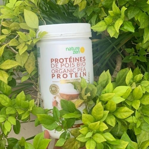 NATURE ZEN – BỘT PROTEIN CÔ ĐẶC TỪ NGŨ CỐC HỮU CƠ (KHÔNG CHỨA ĐẬU NÀNH) – VỊ ĐẬU VÀNG