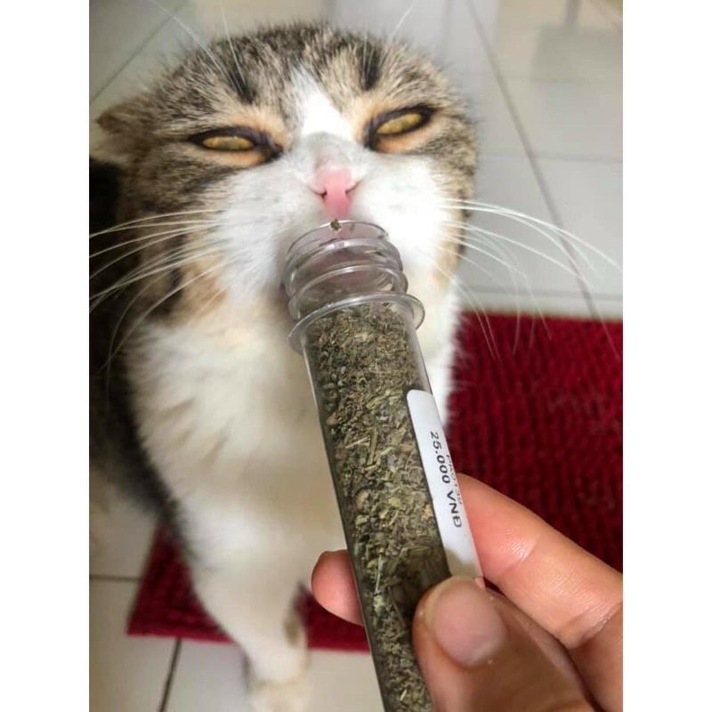 Cỏ mèo khô cỏ bạc hà Catnip cho mèo ống