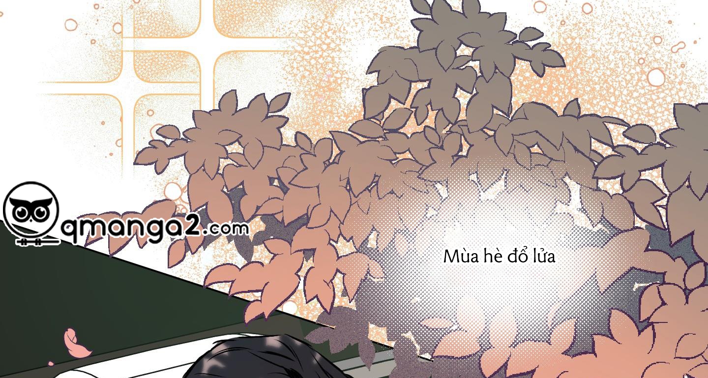 định rõ mối quan hệ chapter 29 121