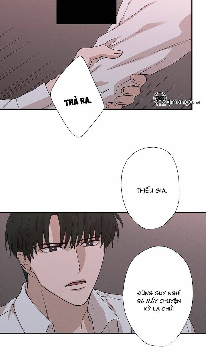 trốn tìm chapter 22 30