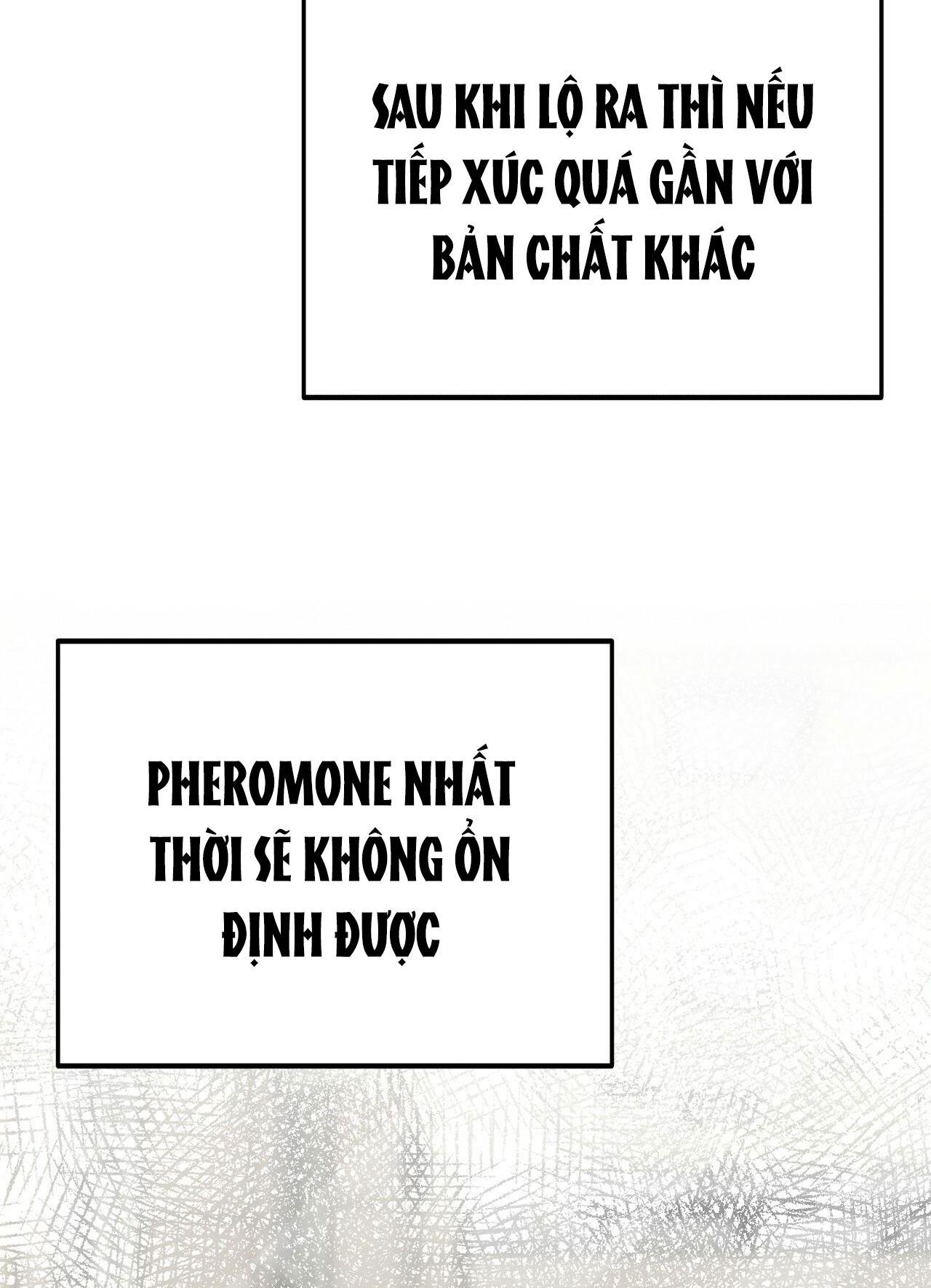 cạm bẫy đại học chapter 24 24