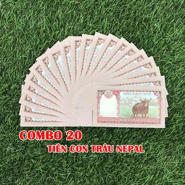 Combo 20 tờ lưu niệm hình con Trâu của Nepal, dùng để sưu tầm, lưu niệm, làm tiền lì xì độc lạ, may mắn, ý nghĩa - TMT Collection - SP005071