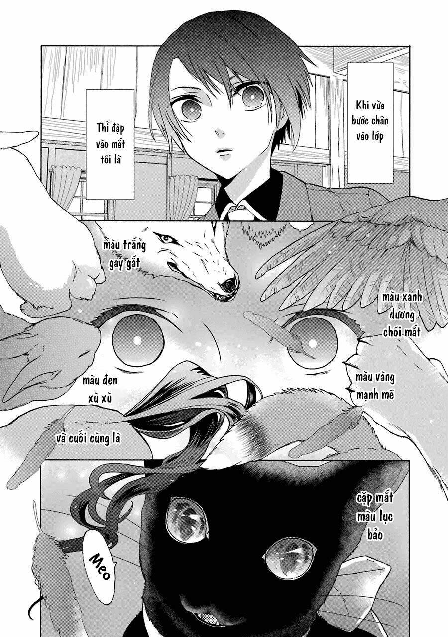 bạn cùng lớp của shiraishi-kun chapter 2 2