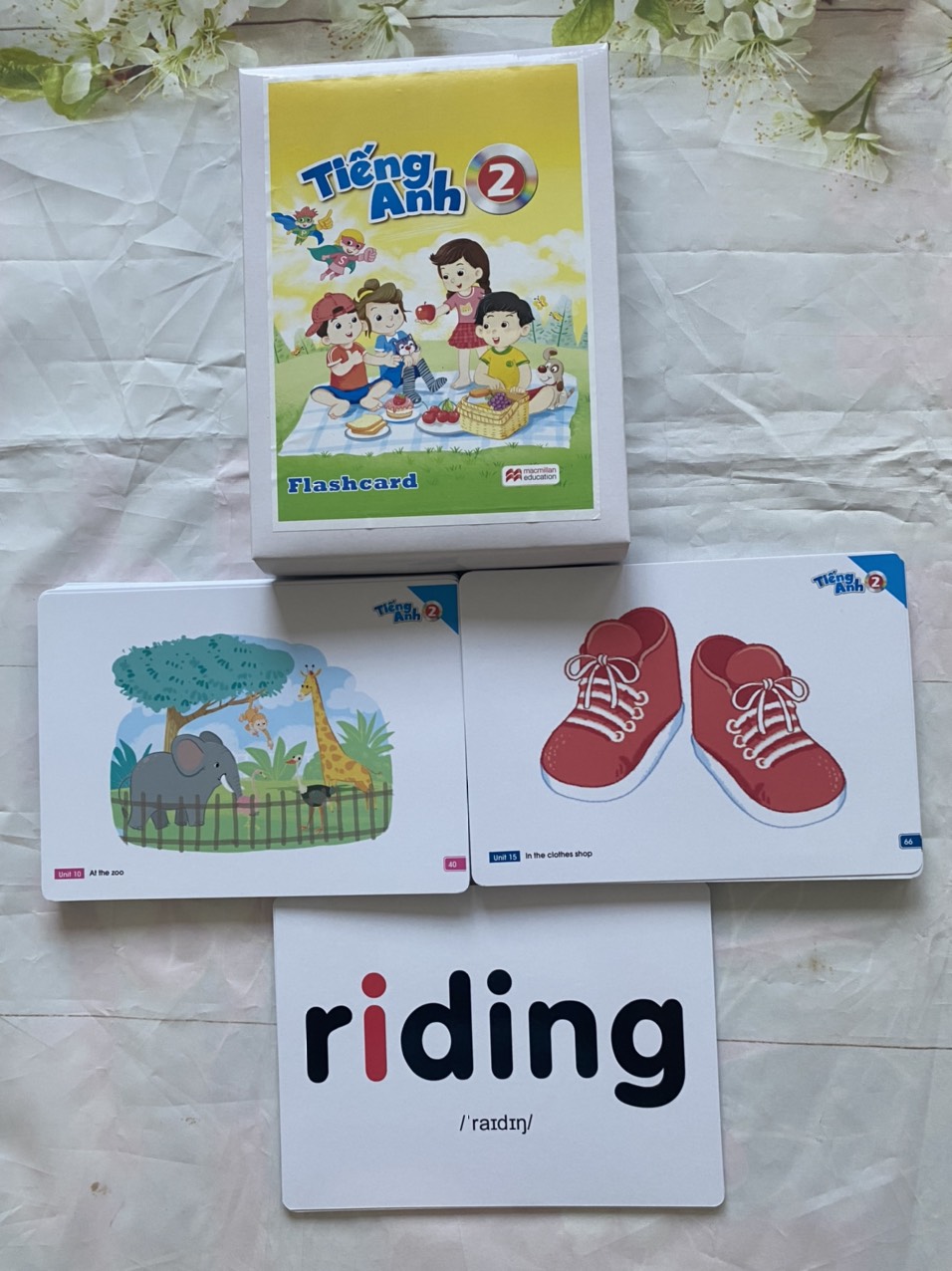 FLASHCARDS TIẾNG ANH LỚP 1,2,3,4,5 BỘ GIÁO DỤC mới nhất 2021 - thẻ cán bóng bền đẹp