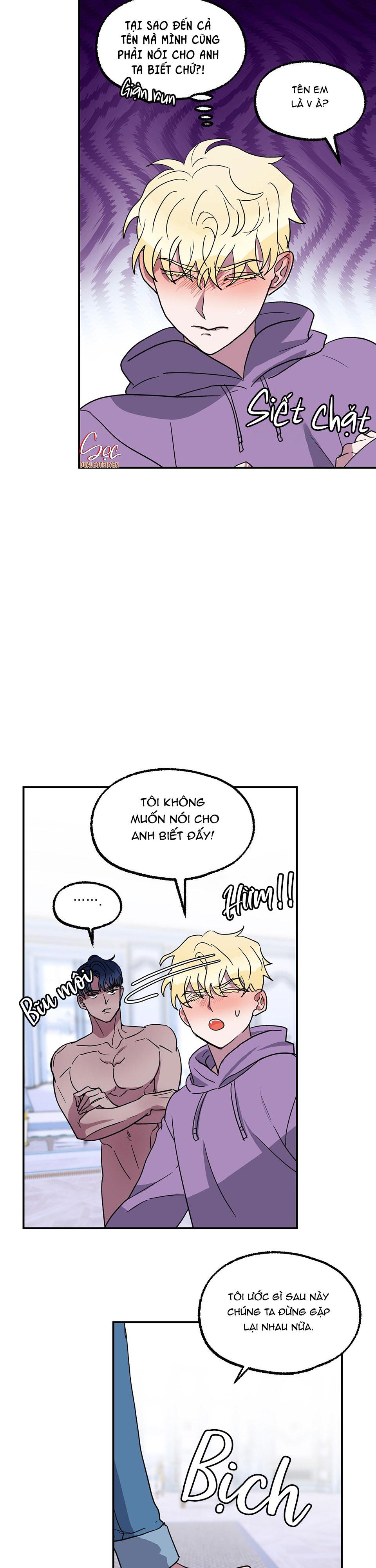 cá mập và cô dâu thỏ chapter 4 21