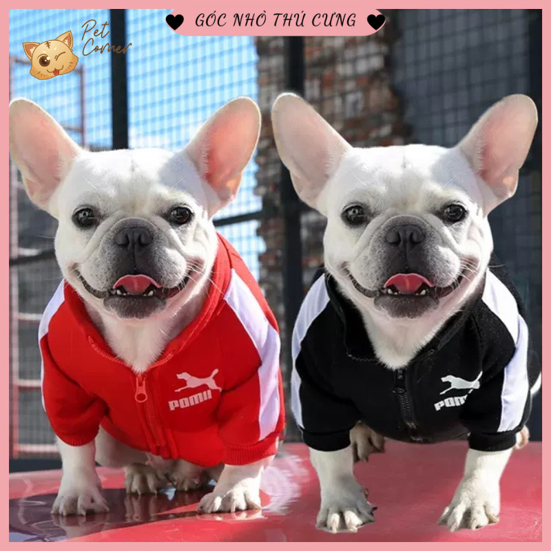 Mua Áo khoác thể thao cho chó mèo - Áo nỉ kéo khóa Pomo cho thú cưng - Màu Đỏ - L tại Pet Corner Góc nhỏ thú cưng Mua Áo Khoác Thể Thao Cho Chó Mèo - Áo Nỉ Kéo Khóa Pomo Cho Thú Cưng - Màu Đỏ - L Tại Pet Corner Góc Nhỏ Thú Cưng