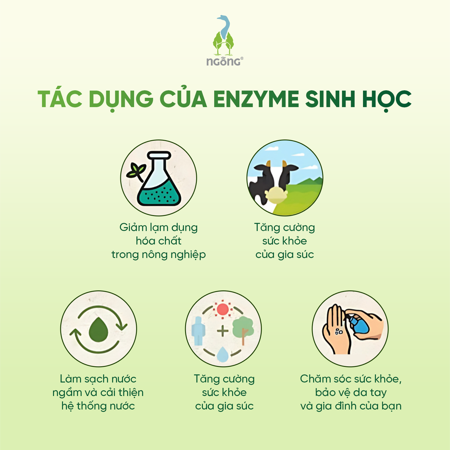 Nước Ngâm Rửa Thực Phẩm Fuwa3e Làm Sạch Th.uốc B.ảo Vệ Thực Vật Khử Mùi An Toàn Cho Bé 1L, 3.8L