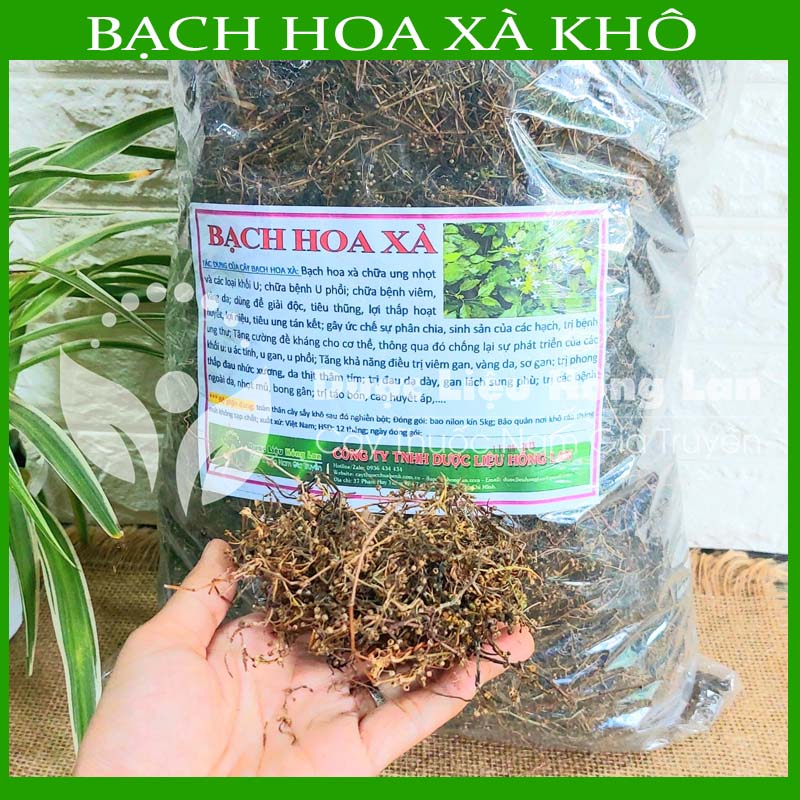 500g Cây Bạch Hoa Xà khô sạch