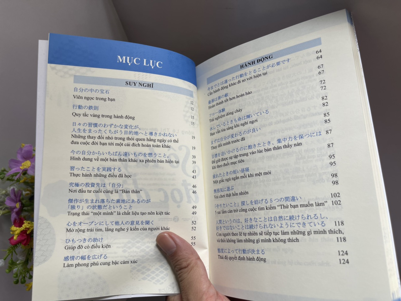 SỔ TAY ĐỌC DỊCH – Hồng Lê Thị - Thái Hà – NXB Thế Giới