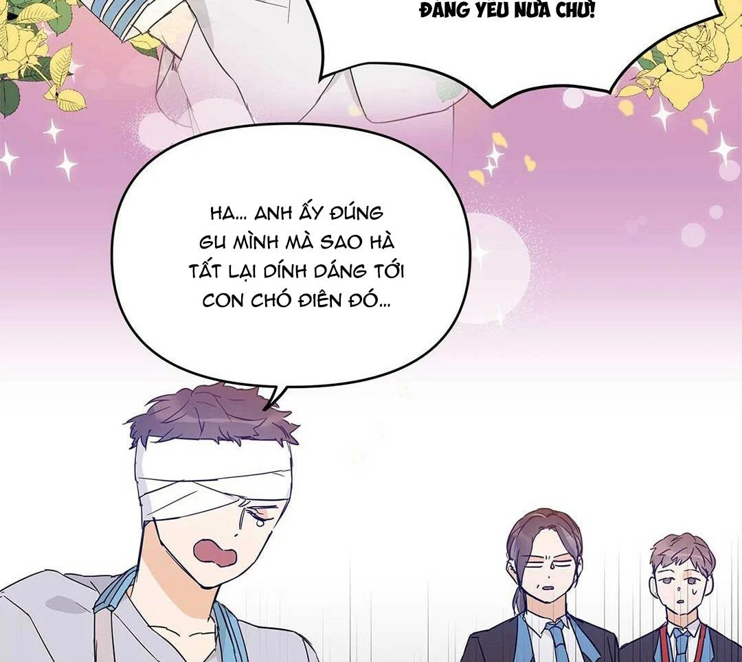 guide cấp b chapter 18 16