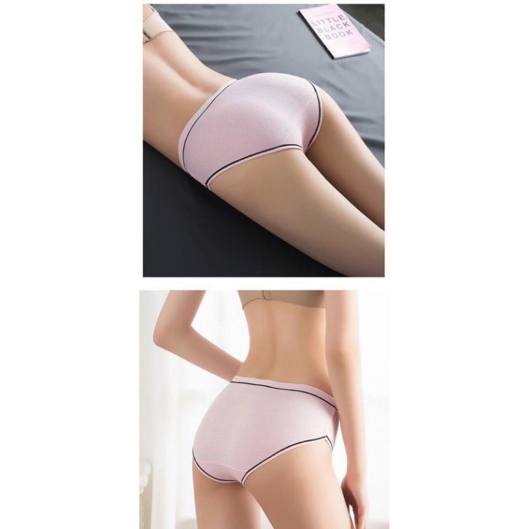 Quần Lót Nữ Cotton Tăm Viền Kẻ Phối Nơ Cao Cấp 028 T