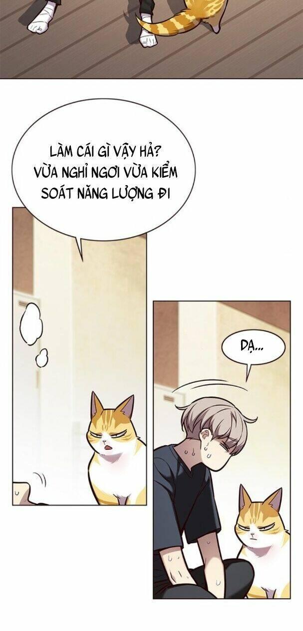 biến thân thành mèo chapter 174 41
