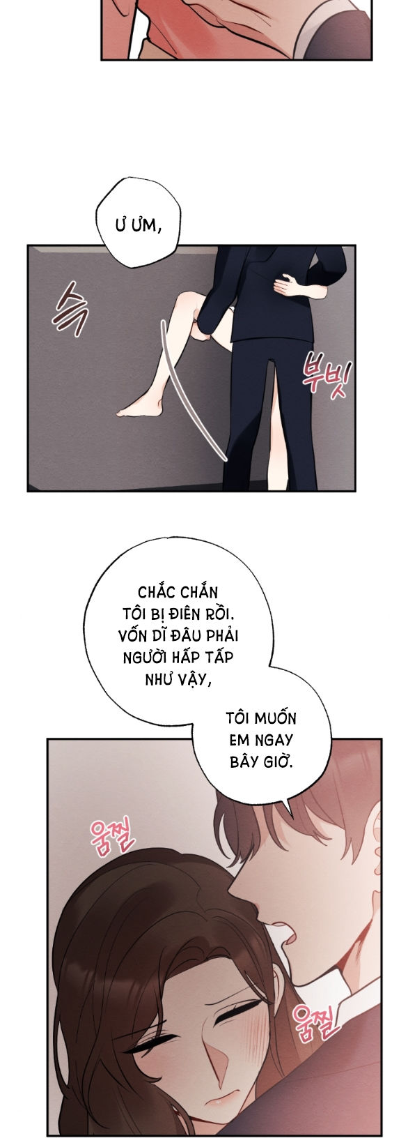 [18+] hôn nhân bị đánh cắp chapter 13.2 14