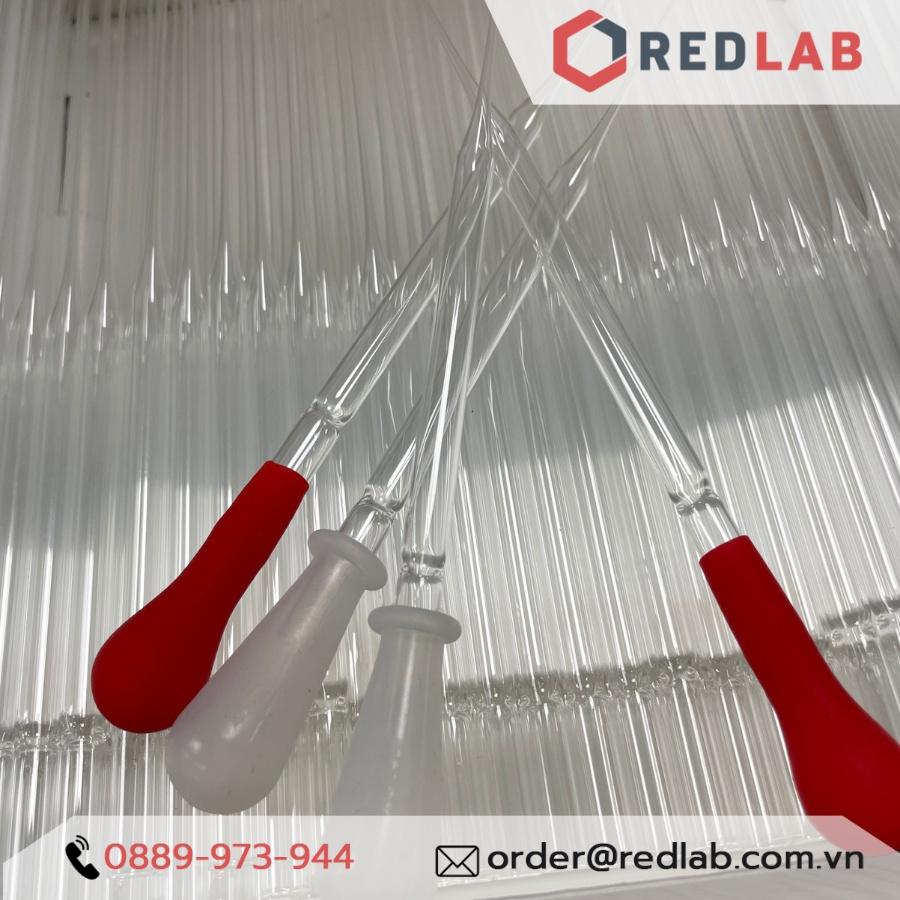 Combo Pipet Paster Thủy Tinh 15cm và Quả bóp Cao su / Silicon