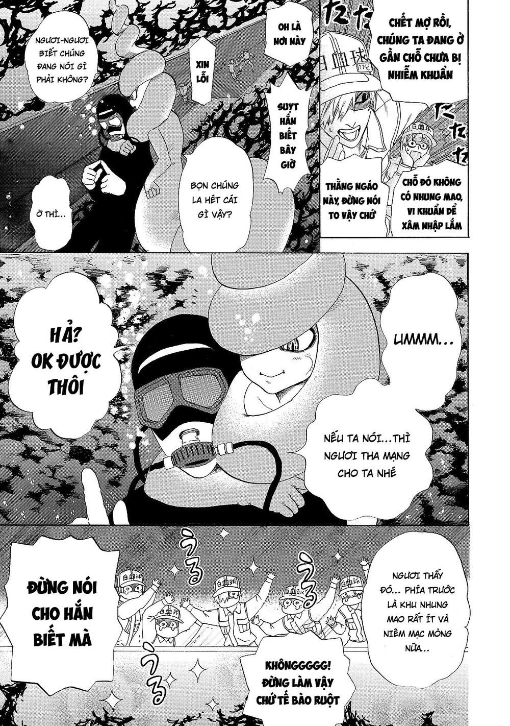 hataraku saibou! chapter 19 19