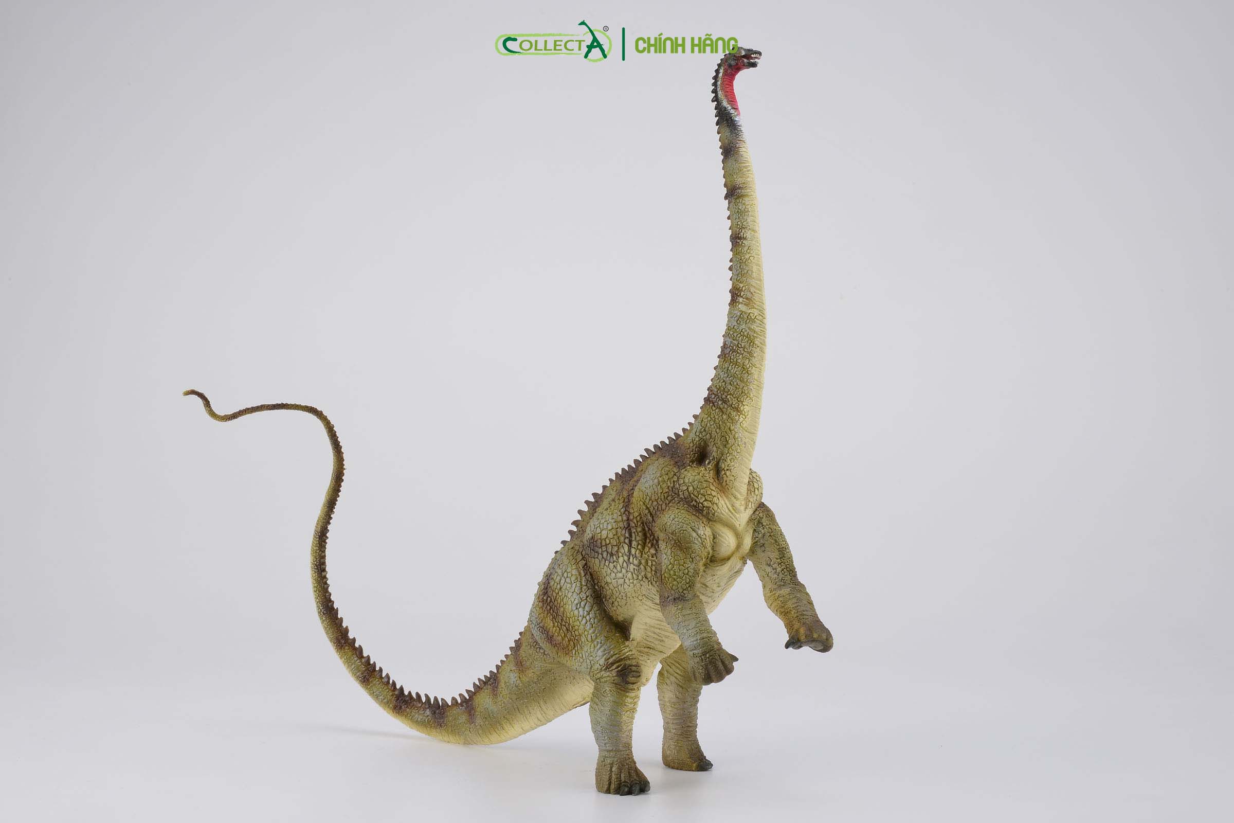 Mô hình thu nhỏ: Khủng Long Diplodocus - Diplodocus , hiệu: CollectA, mã HS 9654050 - Chất liệu an toàn cho trẻ - Hàng chính hãng