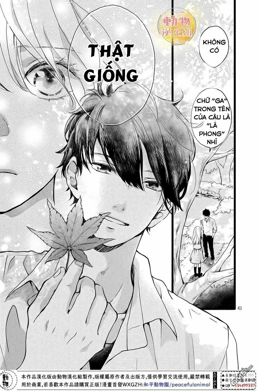 cô gái nhút nhát và kẻ đáng sợ chapter 2 42