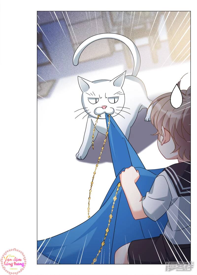 cô ấy đến rồi, xin nằm xuống! chapter 231 20