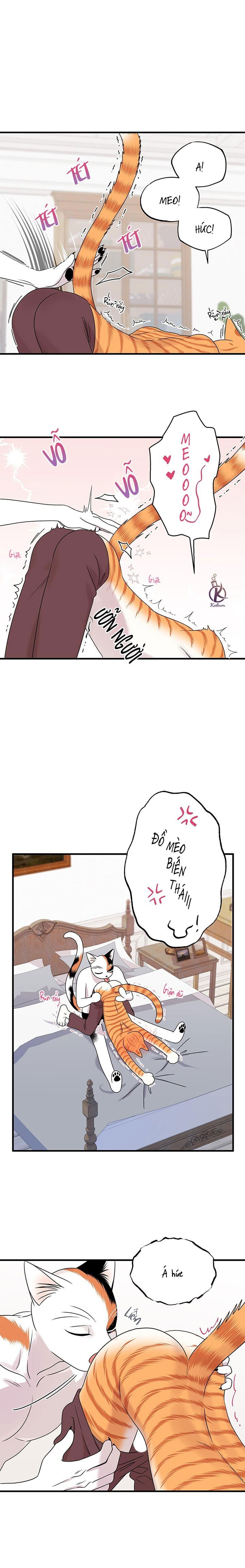 dự án xanh chapter 48 6