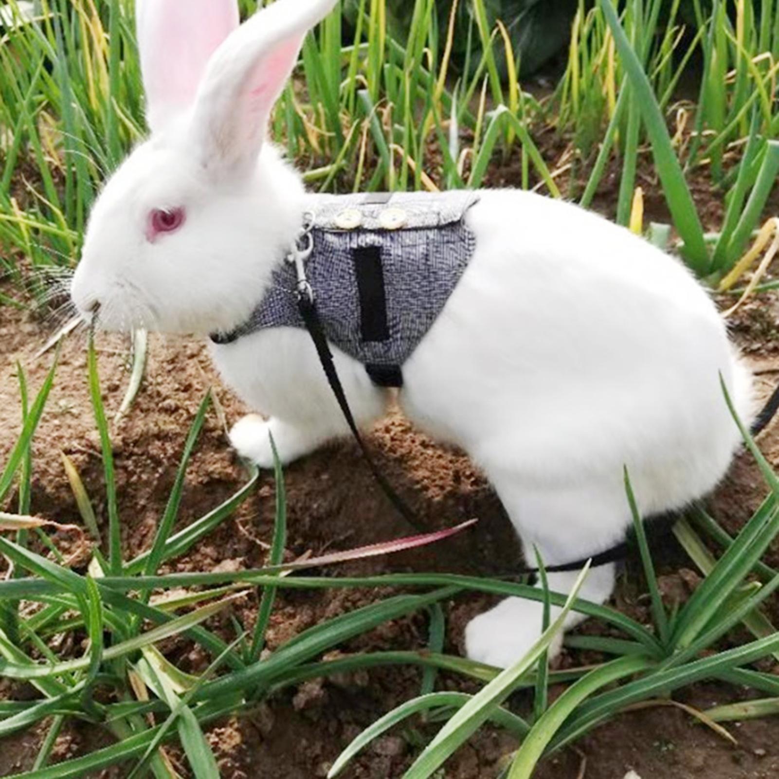 Fashionable Comfortable Rabbit Suit Harness Leash Cute Bunny Vest Harness and Leash Set With Button Decor