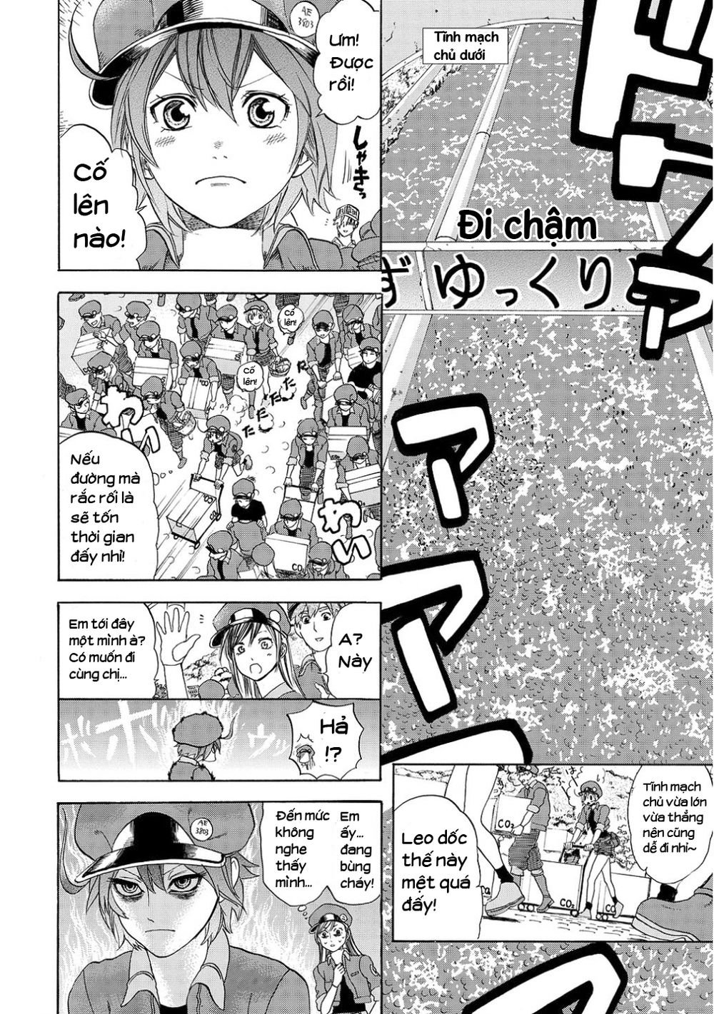 hataraku saibou! chapter 10 12