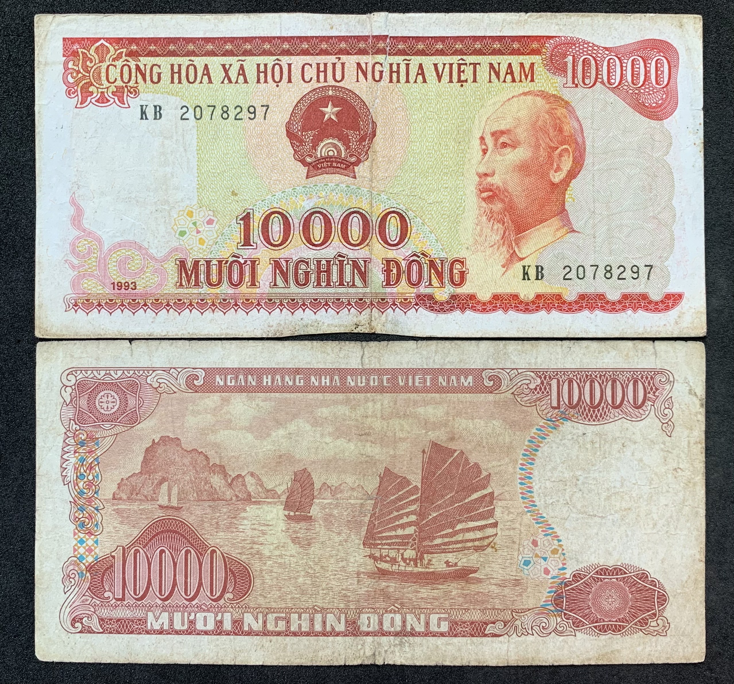 Tờ 10 nghìn đồng 1993 - hoa hậu