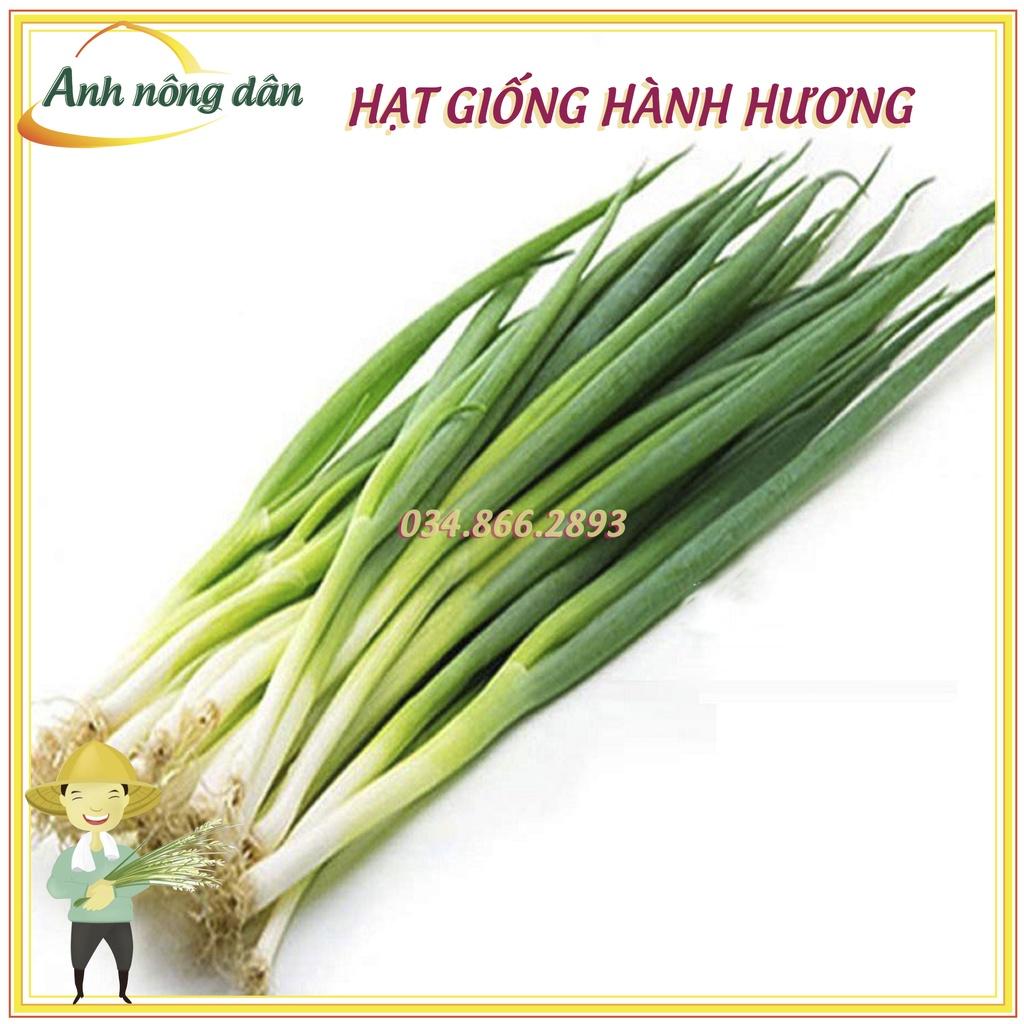 Gói 5g Hạt giống hành hương, hành lá, hành hoa cao sản kháng sâu bệnh