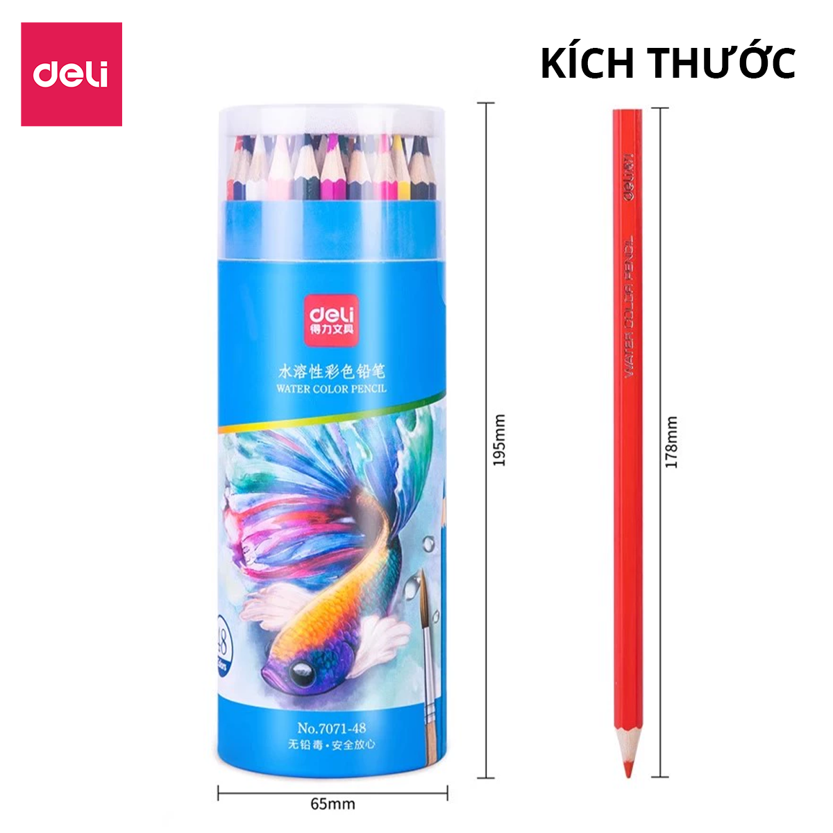 Bút Chì Màu Xóa Được Deli - Bút Chì Màu Học Sinh Chì Đen Cao Cấp Lõi Chì Dày Hơn - 12/24/36/48 Màu Sắc Tươi Sáng