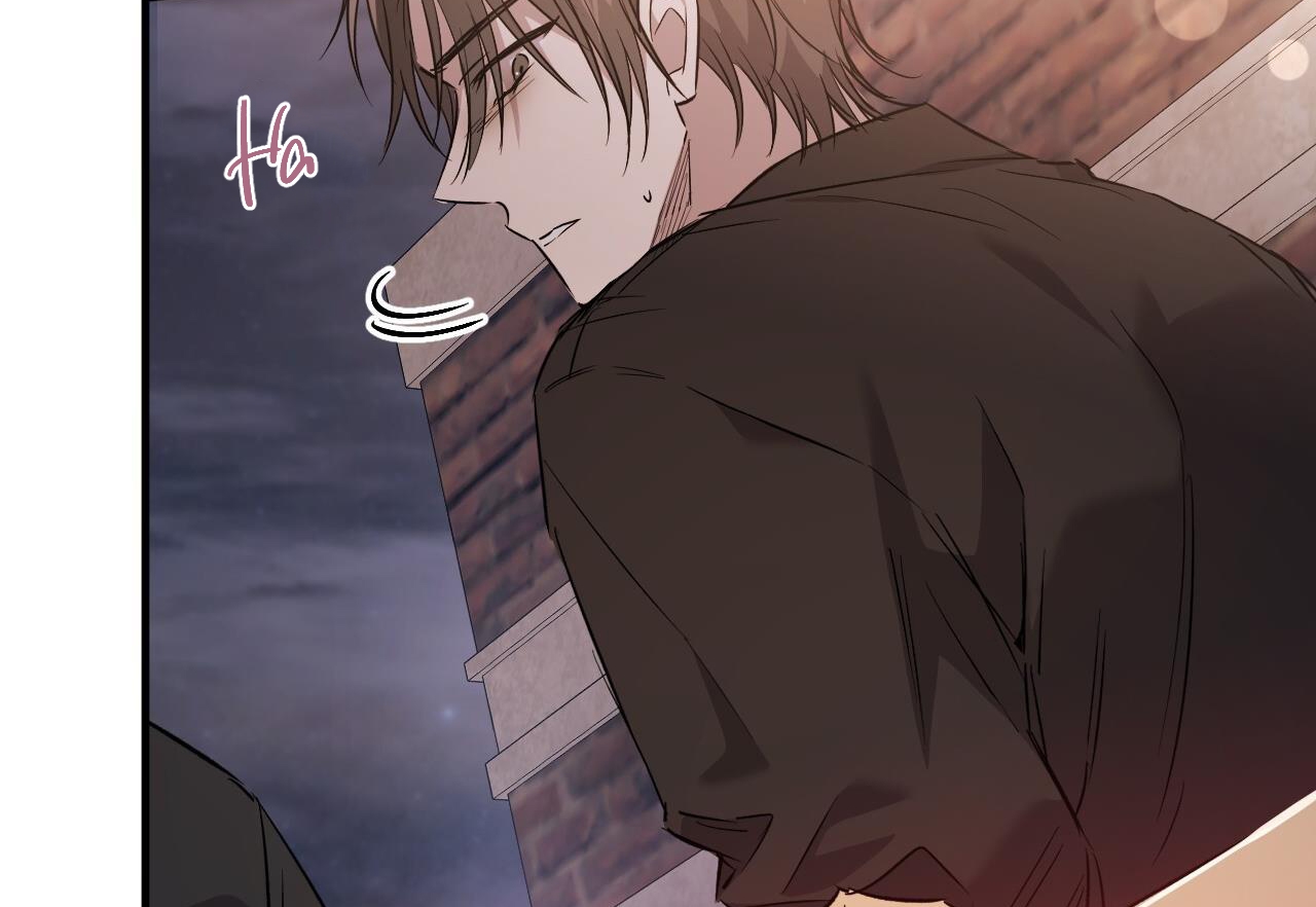 đàn thỏ của habibi chapter 59 128