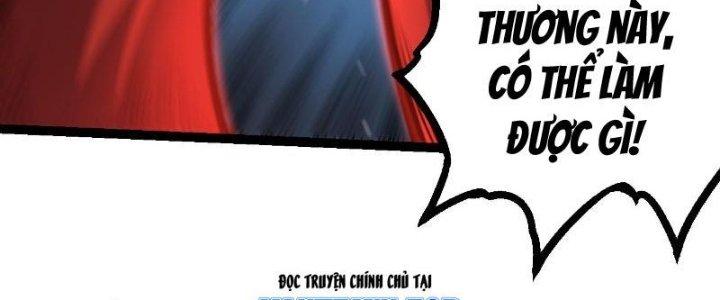 từ cây cổ thụ bắt đầu tiến hóa chapter 56 168