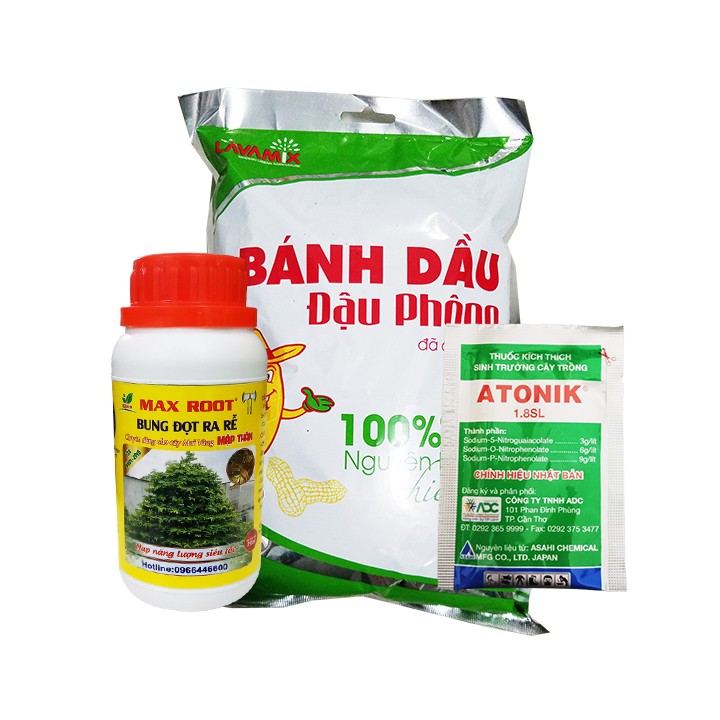 Bộ combo chăm hoa mai kích ra rễ, phục hồi cây mai, cung cấp dinh dưỡng (bánh dầu lavamix 1kg, atonik gói 10ml, bung đọt ra rễ mai 250ml)