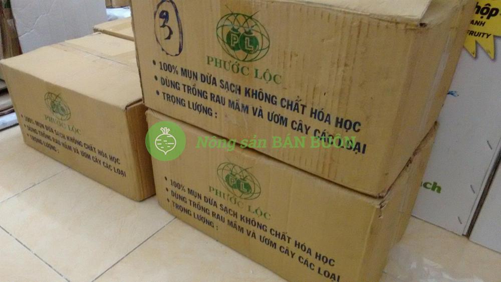 THÙNG 24 VIÊN NÉN MỤN DỪA PHƯỚC LỘC-TIỀN GIANG, 100% MỤN DỪA TRỒNG RAU MẦM – RAU ĂN LÁ