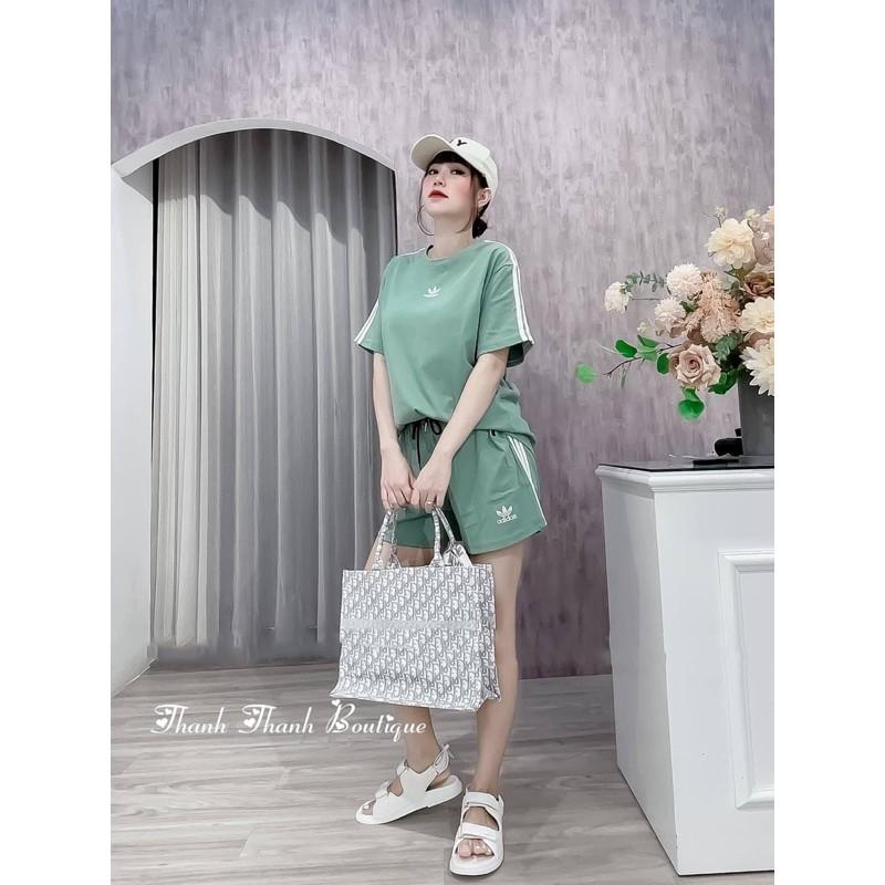 BỘ COTTON 3 LÁ CỘC VIỀN SỌC BẢNG 3 MÀU CHO NỮ