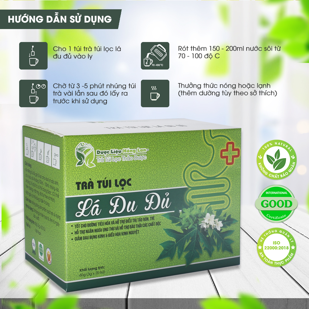 Trà Túi Lọc Lá Đu Đủ 60g (20gói x 3g) Dược Liệu Hồng Lan