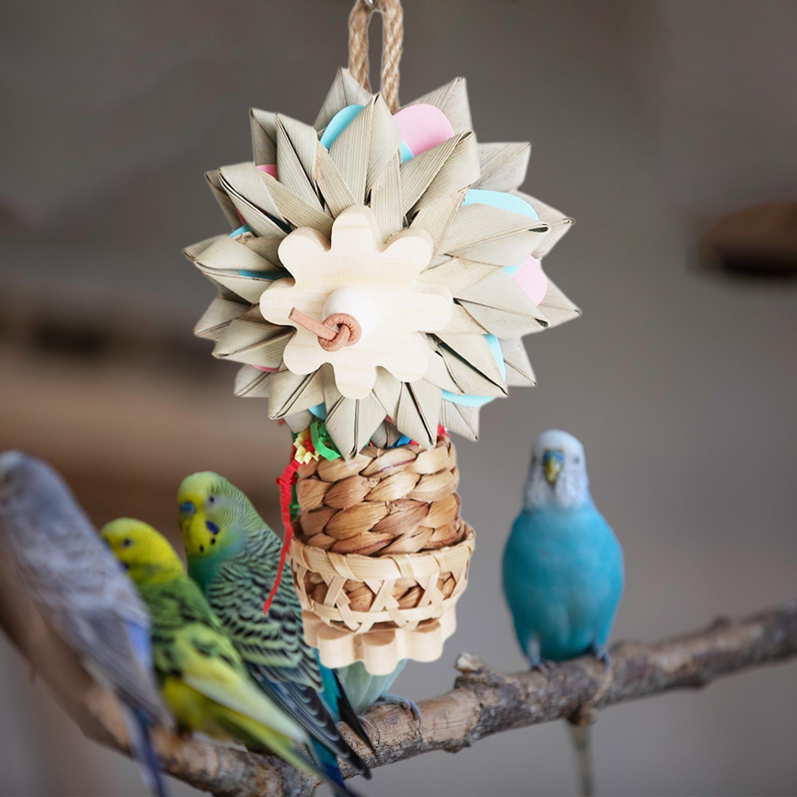 Bird Parrot Toy, Decorative Hanging Wooden Funny Parrot Cage Bite Toys Bird Chewing Toy for Cockatiel Training Parakeet Parrots Playing