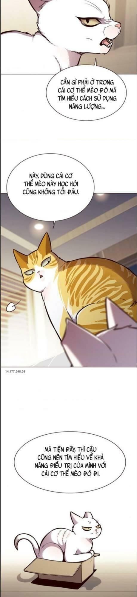 biến thân thành mèo chapter 164 13